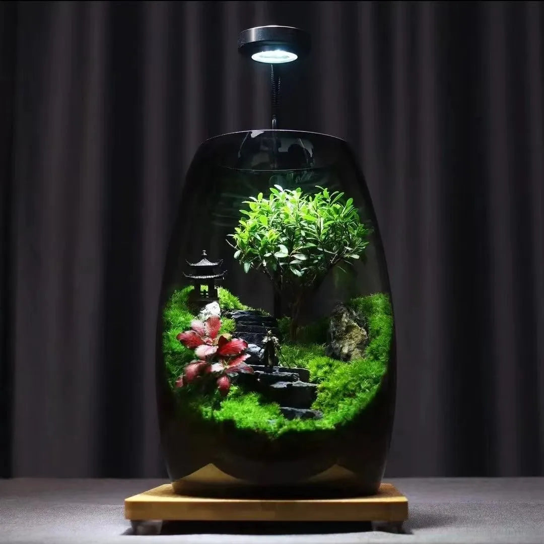🌿Mini Desktop Terrarium with Live Plants & Decor Accents